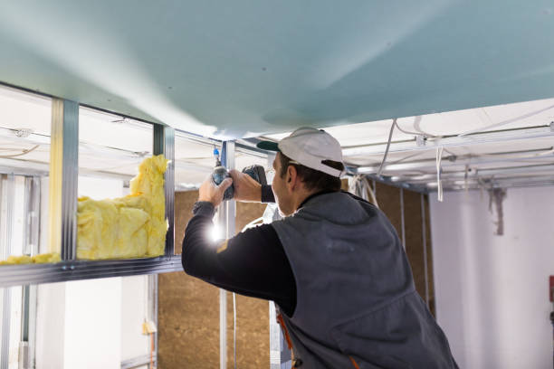 Best Professional Insulation Contractor  in Liberty, PA
